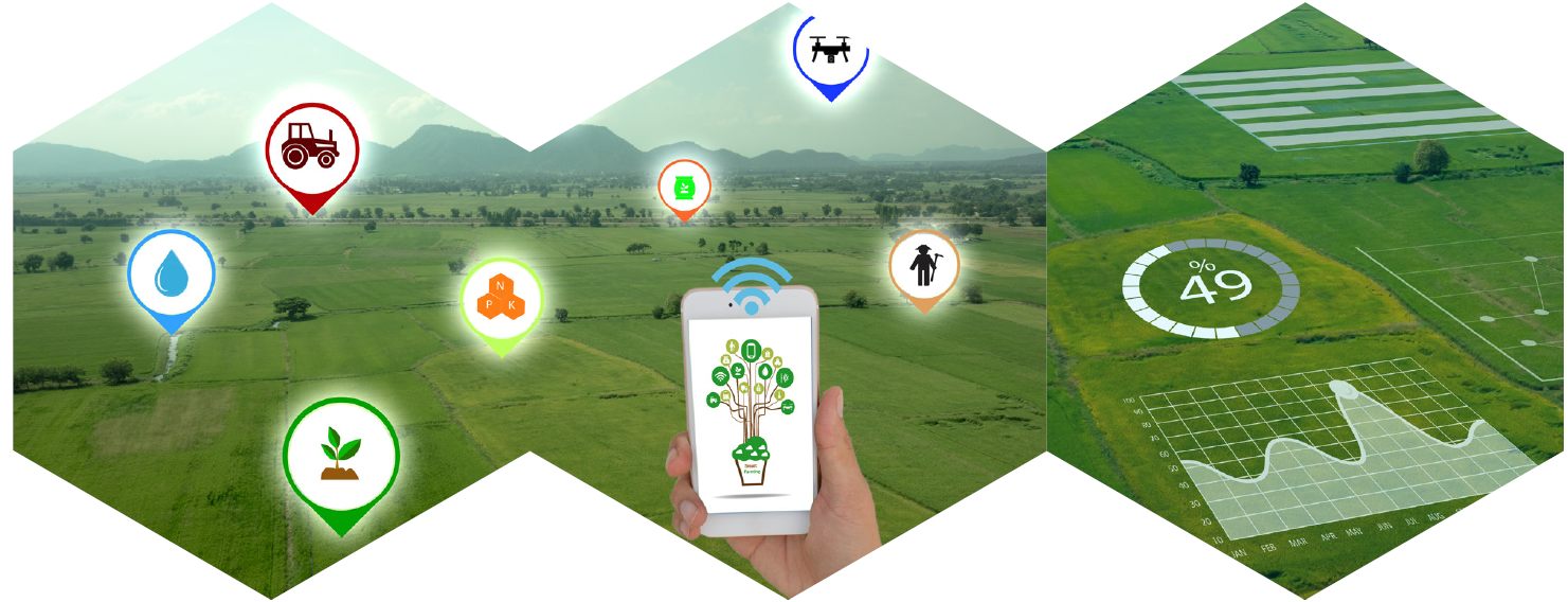 AgroNIT ecosystem: sensors, drones and the mobile app across the field