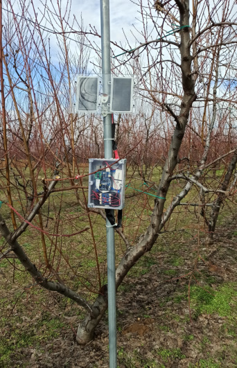 AgroNIT node mounted among fruit trees