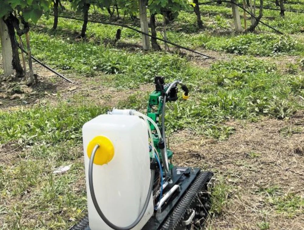 WeedBot tracked spraying robot in a vineyard