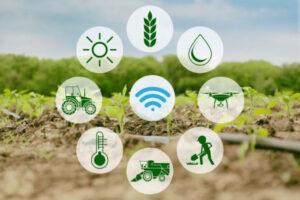 Smart farming icons over a young crop field
