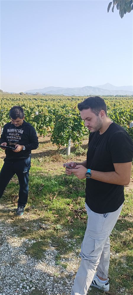 Project team during the field visit near Tyrnavos